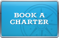 New book a charter