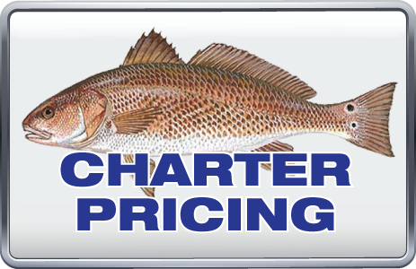 Charter pricing