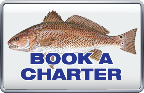 Book a charter