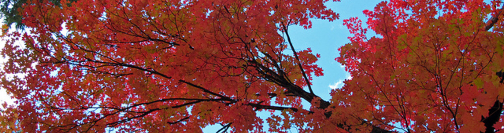 Homer Glen Homer Glen