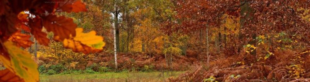 Machesney Park Machesney Park