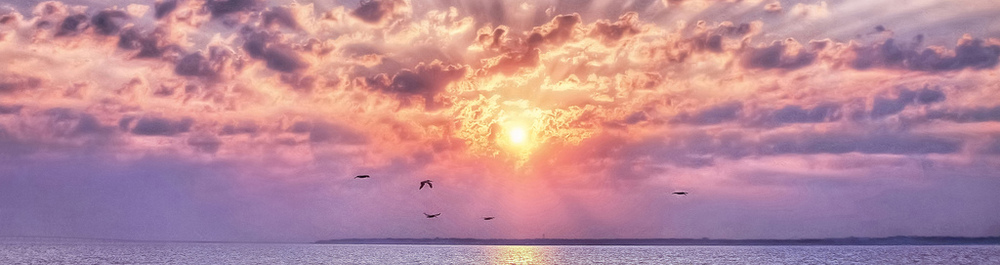 Gulf Breeze Gulf Breeze