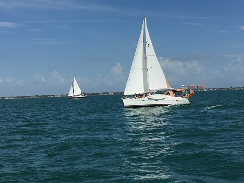 Sailing Regatta on Biscayne Bay 