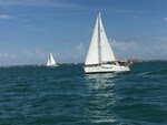 Sailing Regatta on Biscayne Bay 