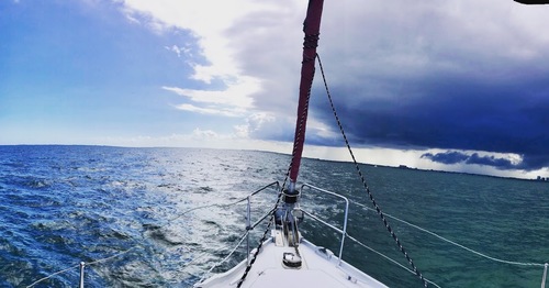 Sailing cruise in Miami 