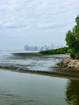 Call Captain Jeff for a reservation sailingadventuresmiami.com 