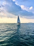 Charter Miami 